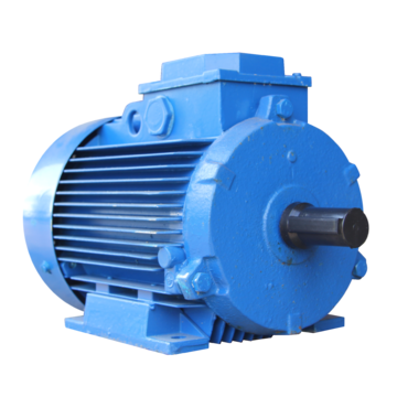 АИР 160 S2 ЖУ2 IM 1081 (лапы)